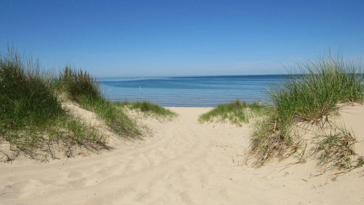 Warren Dunes State Park