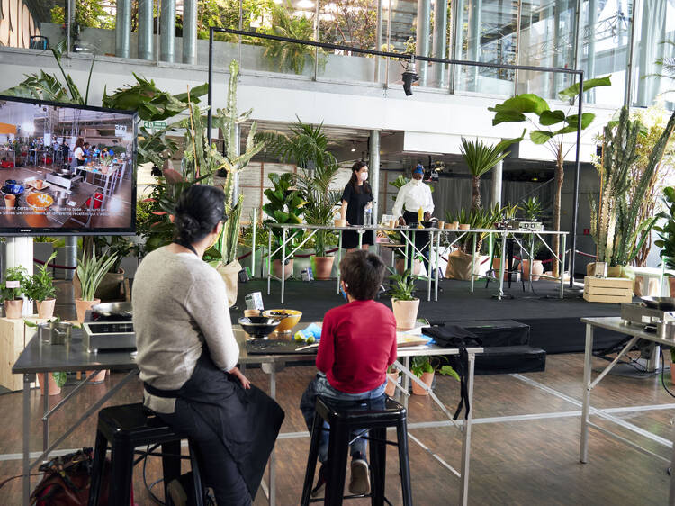 Ce week-end, un immense festival 100 % végétal débarque à la Cité des sciences Ce week-end, un immense festival 100 % végétal débarque à la Cité des sciences