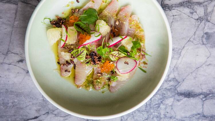 A plate of kingfish crudo with radish.