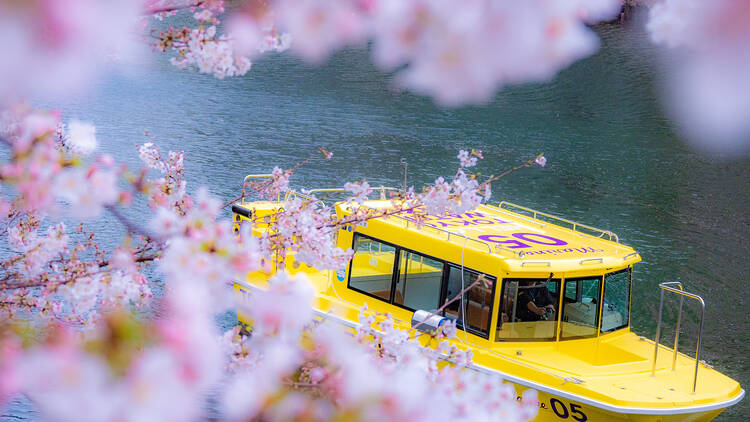 InterContinental Tokyo Bay Lunch Buffet and Ohanami Cruise
