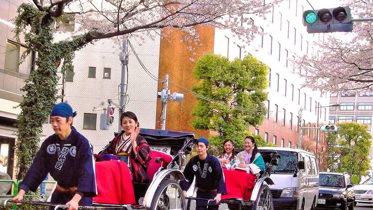 Asakusa and Sumida Ohanami Rickshaw Ride