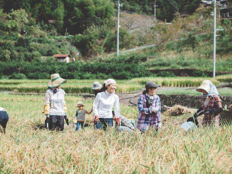 「神山ネットワーク」に名を連ねる。