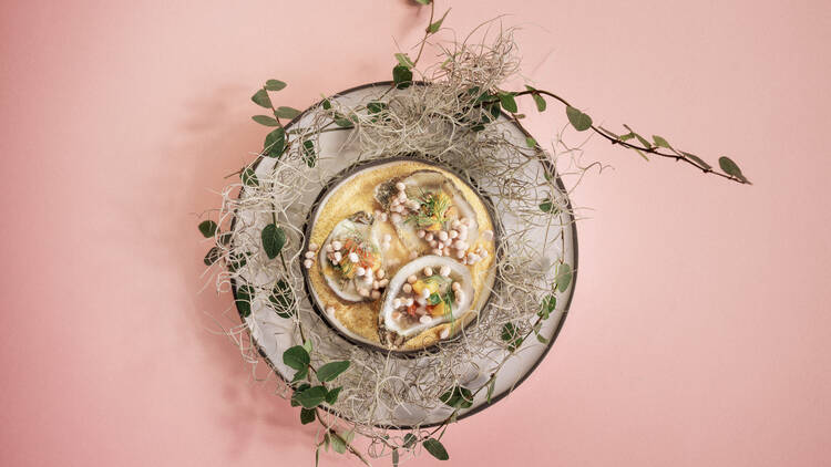 Oysters on a plate 