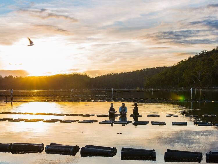 NSW getaways that can rejuvenate you