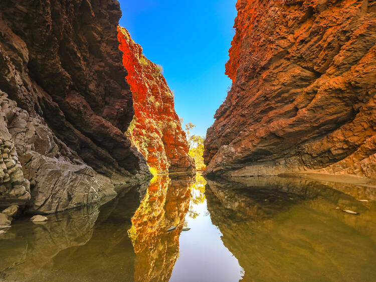 Larapinta Trail