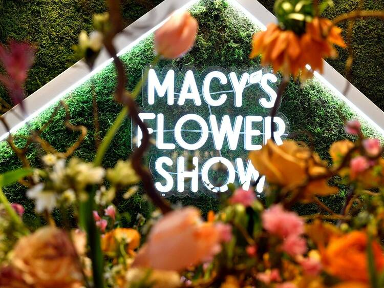 Explore The Macy’s Flower Show