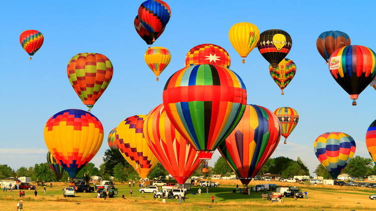 The Great Reno Balloon Race | Reno, NV