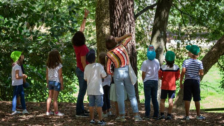 Fundação de Serralves