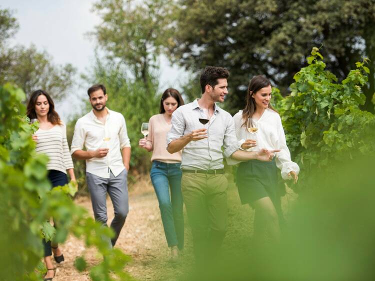 Beveu-vos el món del vi amb aquestes experiències úniques! Beveu-vos el món del vi amb aquestes experiències úniques!