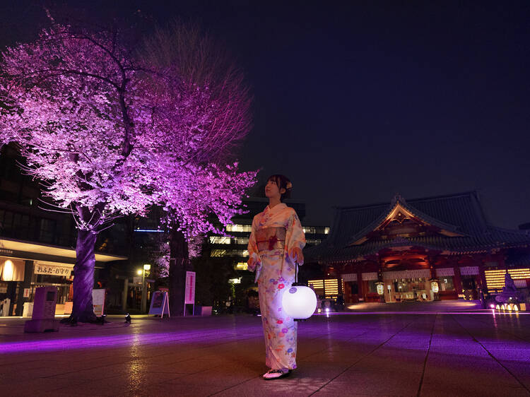 伝統と最新技術の融合、スマート神社仏閣