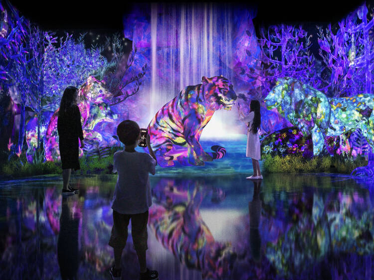 Galaxy & teamLab: Catching and Collecting in the Sacred Forest