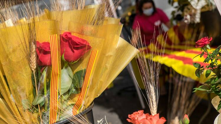 Sant Jordi