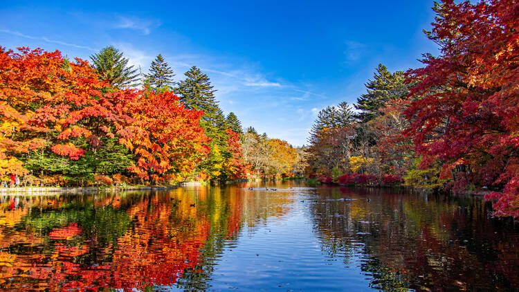 Kumobaike Pond