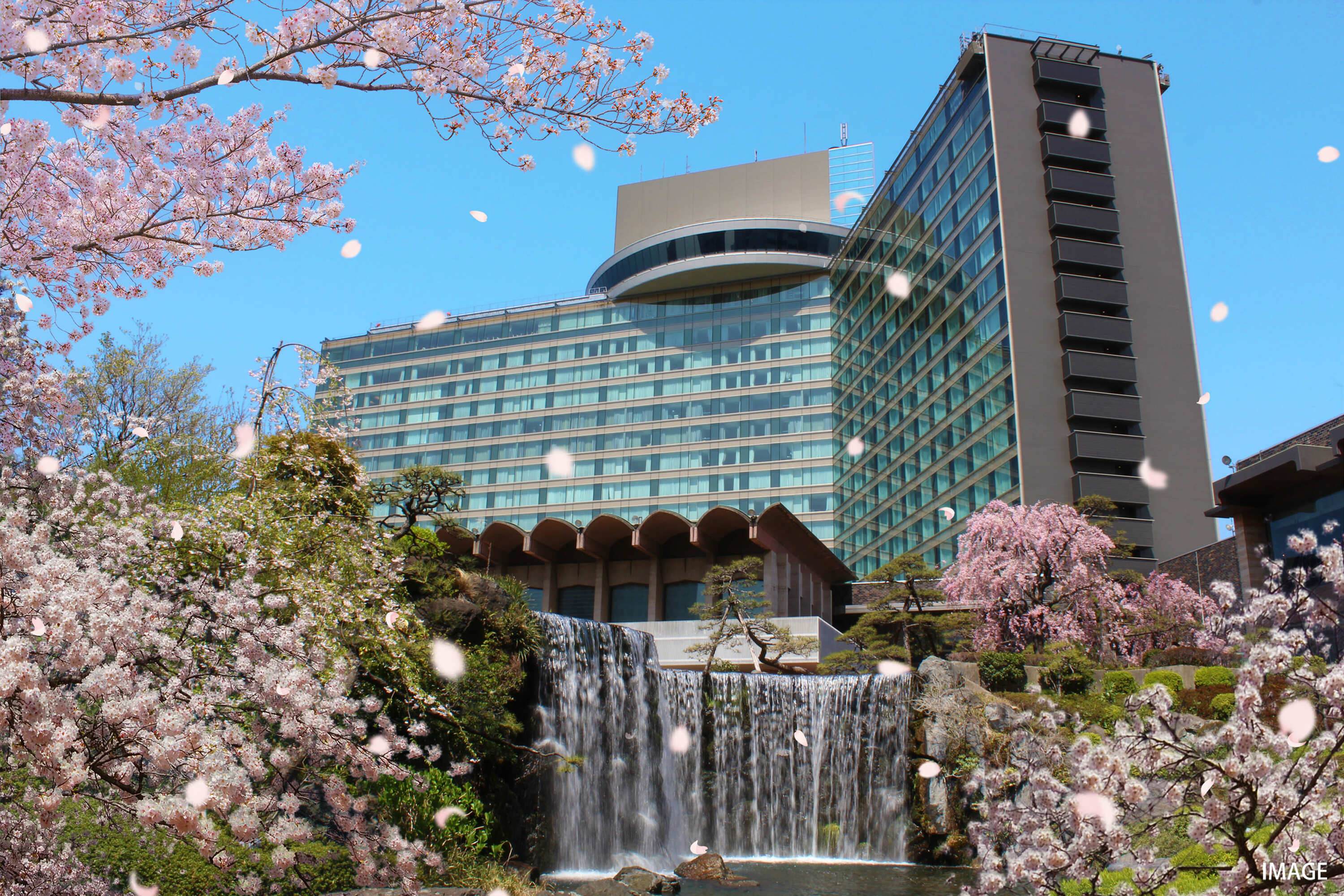 ホテルニューオータニの春 桜めぐり