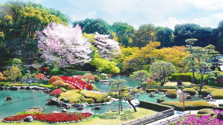 ホテルニューオータニの春 桜めぐり