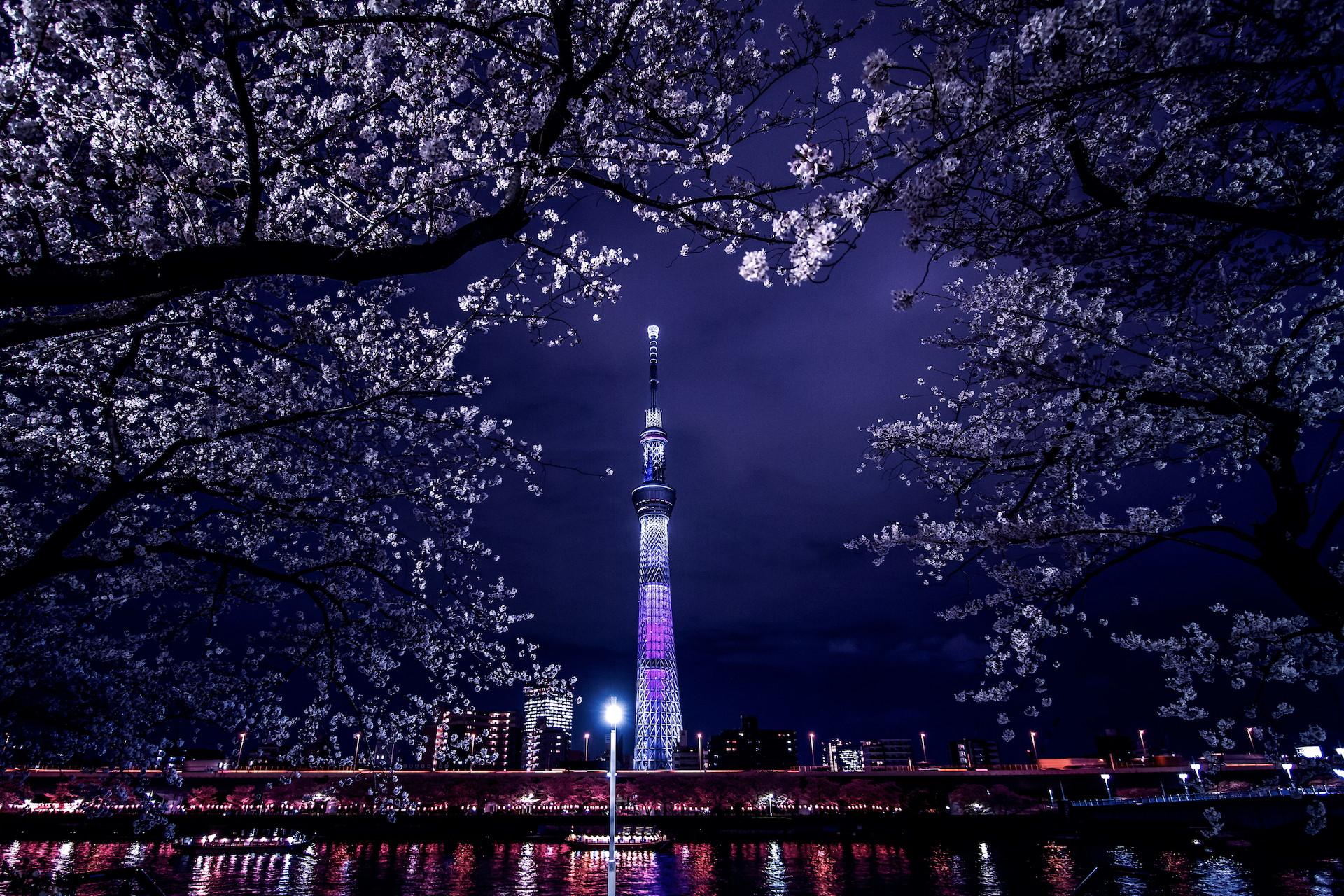 10 Best Night Views In Tokyo