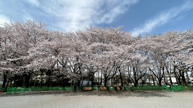 林試の森公園