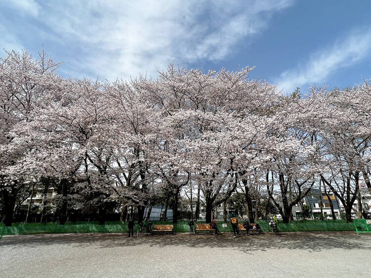 林試の森公園