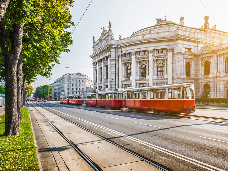 The 13 best museums in Vienna