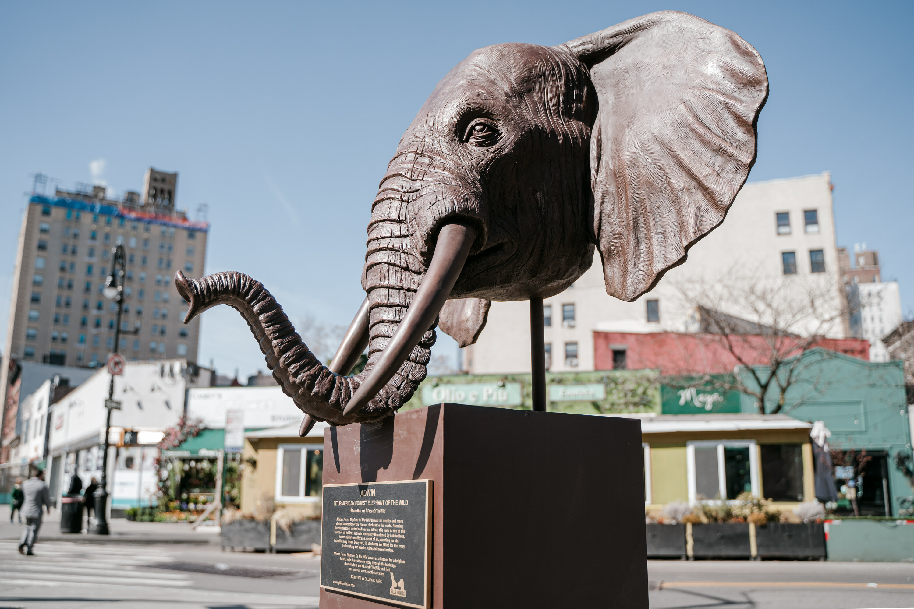 9 sculptures of the world's most endangered animals unveiled in Greenw –  Gillie and Marc