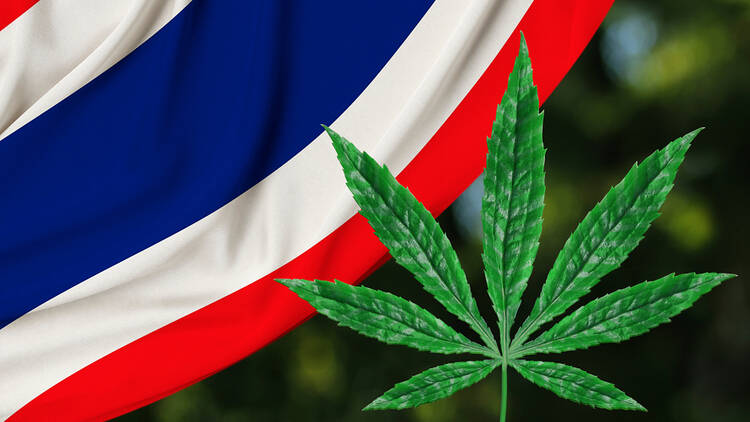 Thailand flag cannabis leaf