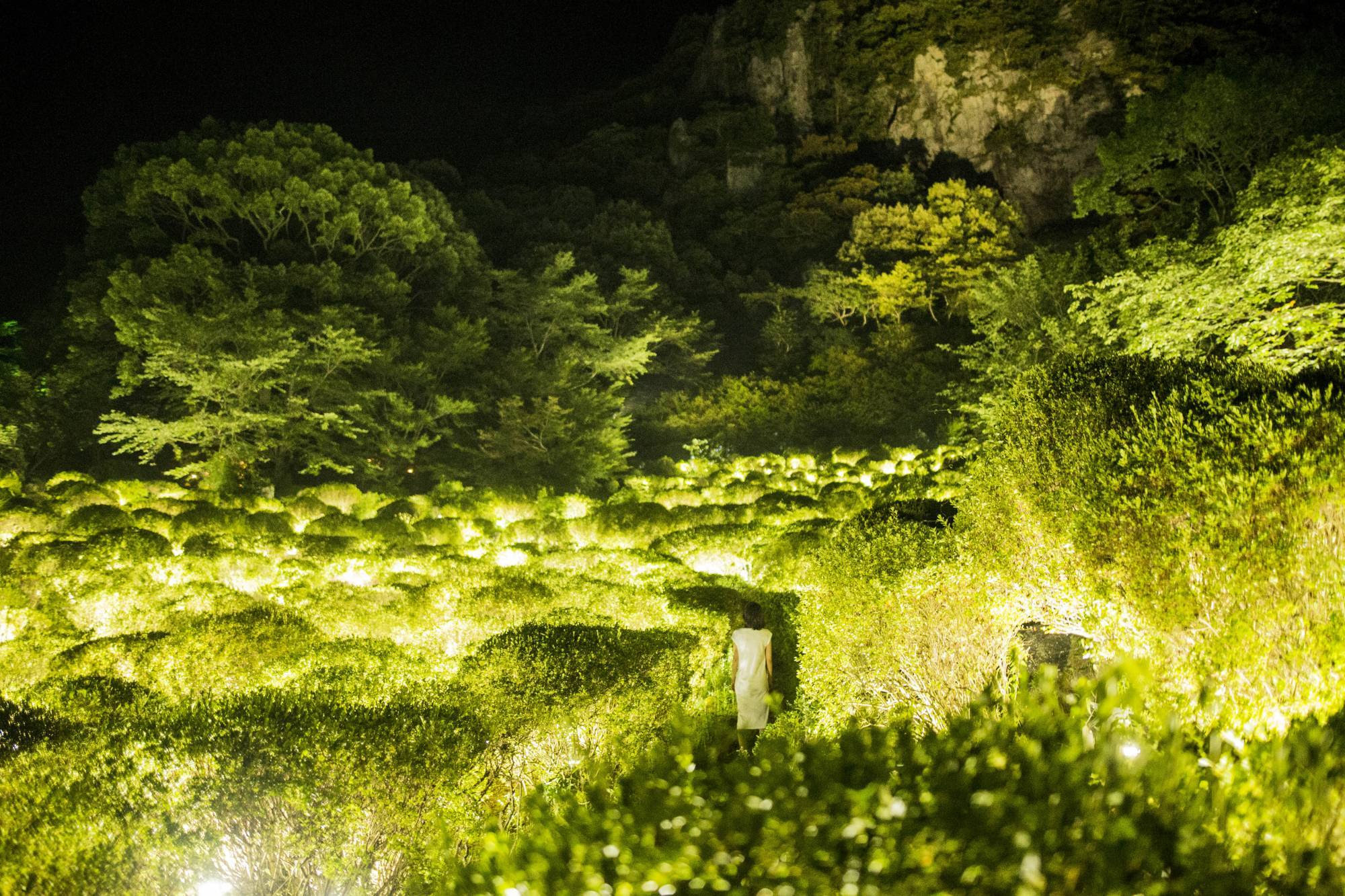 teamLab: A Forest Where Gods Live 