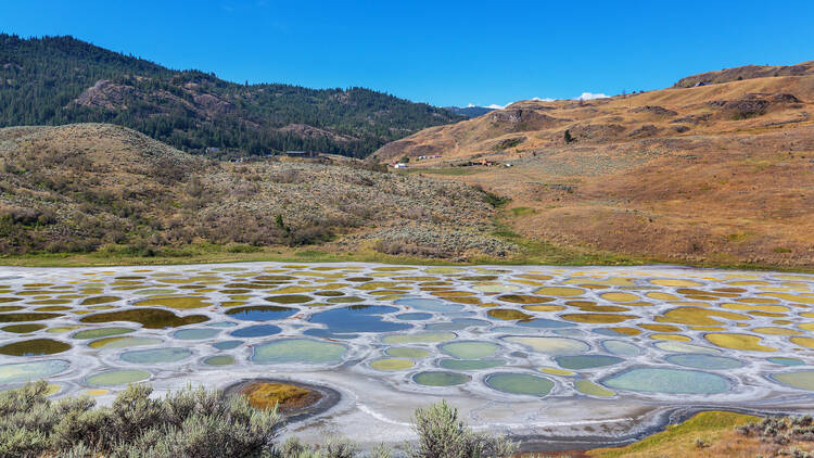 Spotted Lake, Canada