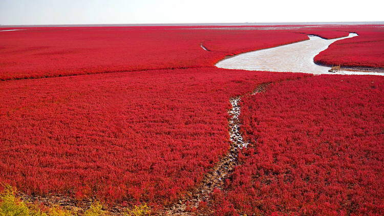 Red Beach, China