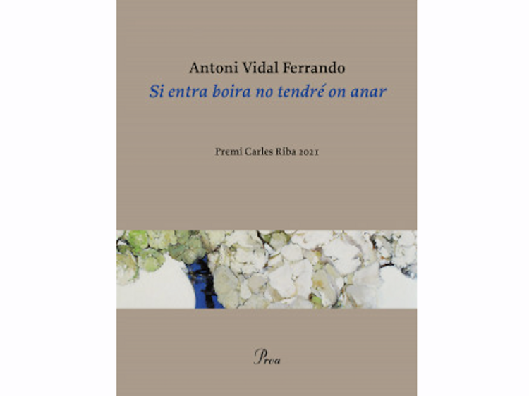 'Si entra boira no tendré on anar', d'Antoni Vidal Ferrando