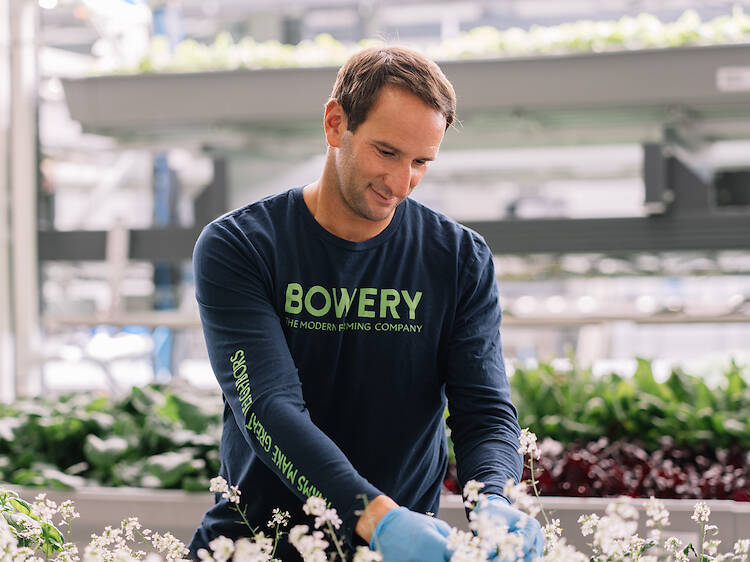 Bowery Farming is the largest indoor vertical farming company in the US