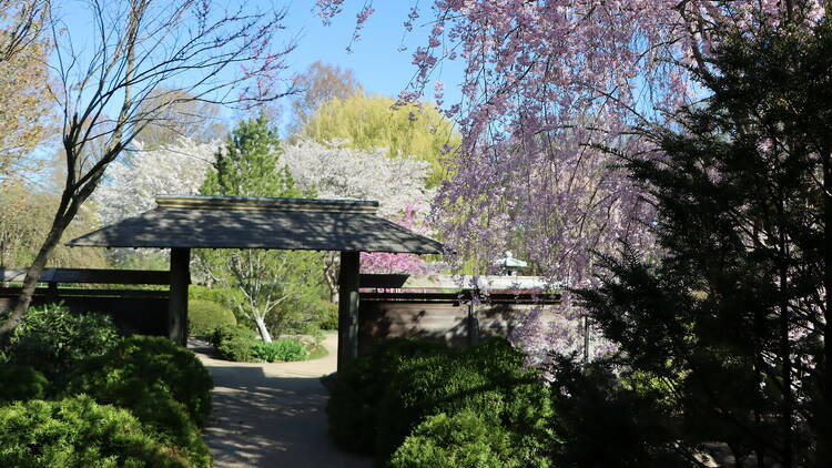 Japan House at the University of Illinois at Urbana–Champaign