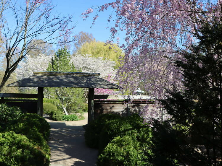 Japan House at the University of Illinois at Urbana–Champaign