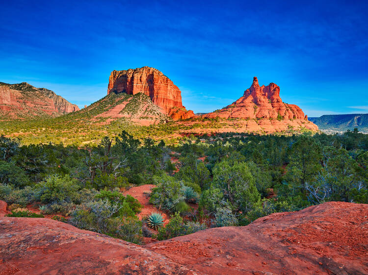 Coconino National Forest, AZ