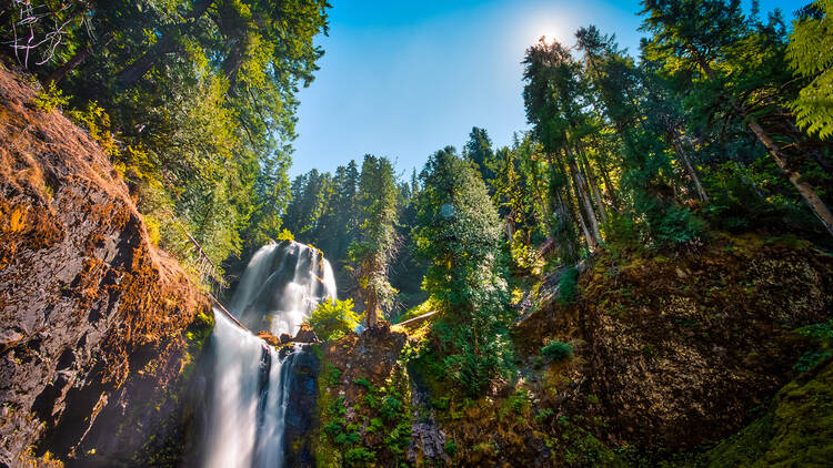 Falls Creek Falls in Gifford Pinchot National Forest, Washington