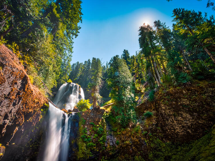 Falls Creek Falls in Gifford Pinchot National Forest, Washington