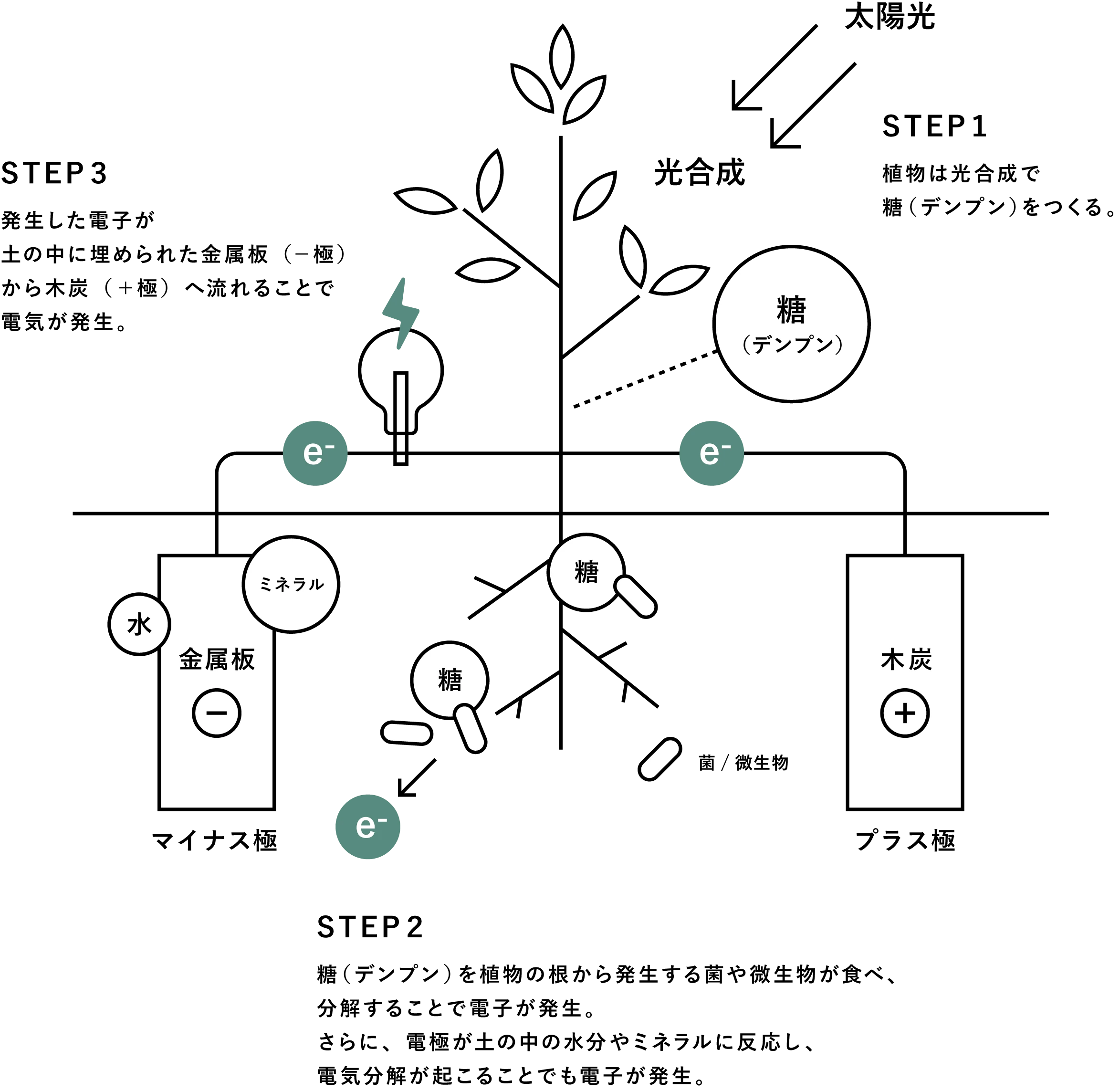 画像提供：CHARGING SPOT BOTANIST
