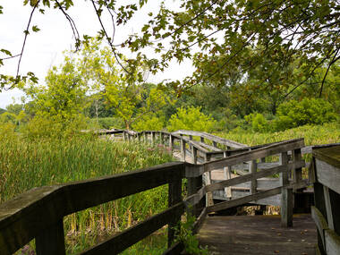 Rock Cut State Park Rock Cut State Park