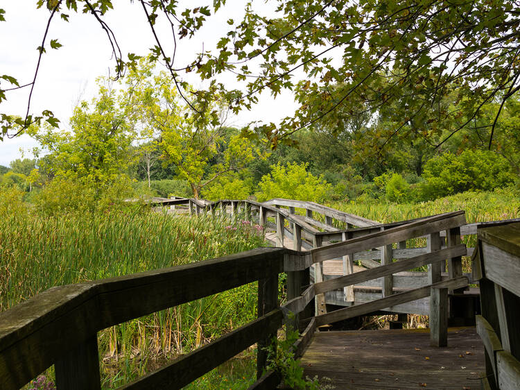 Rock Cut State Park