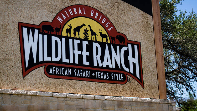 Natural Bridge Wildlife Ranch