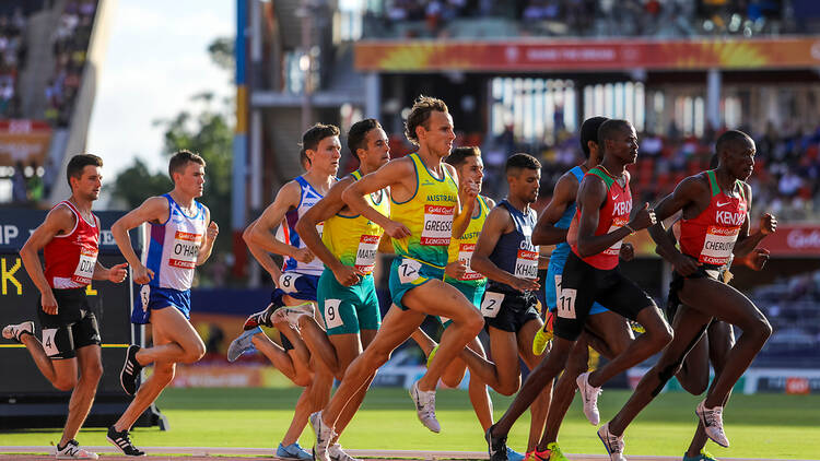 Runners compete at the 2014 Brisbane Commonwealth Games.