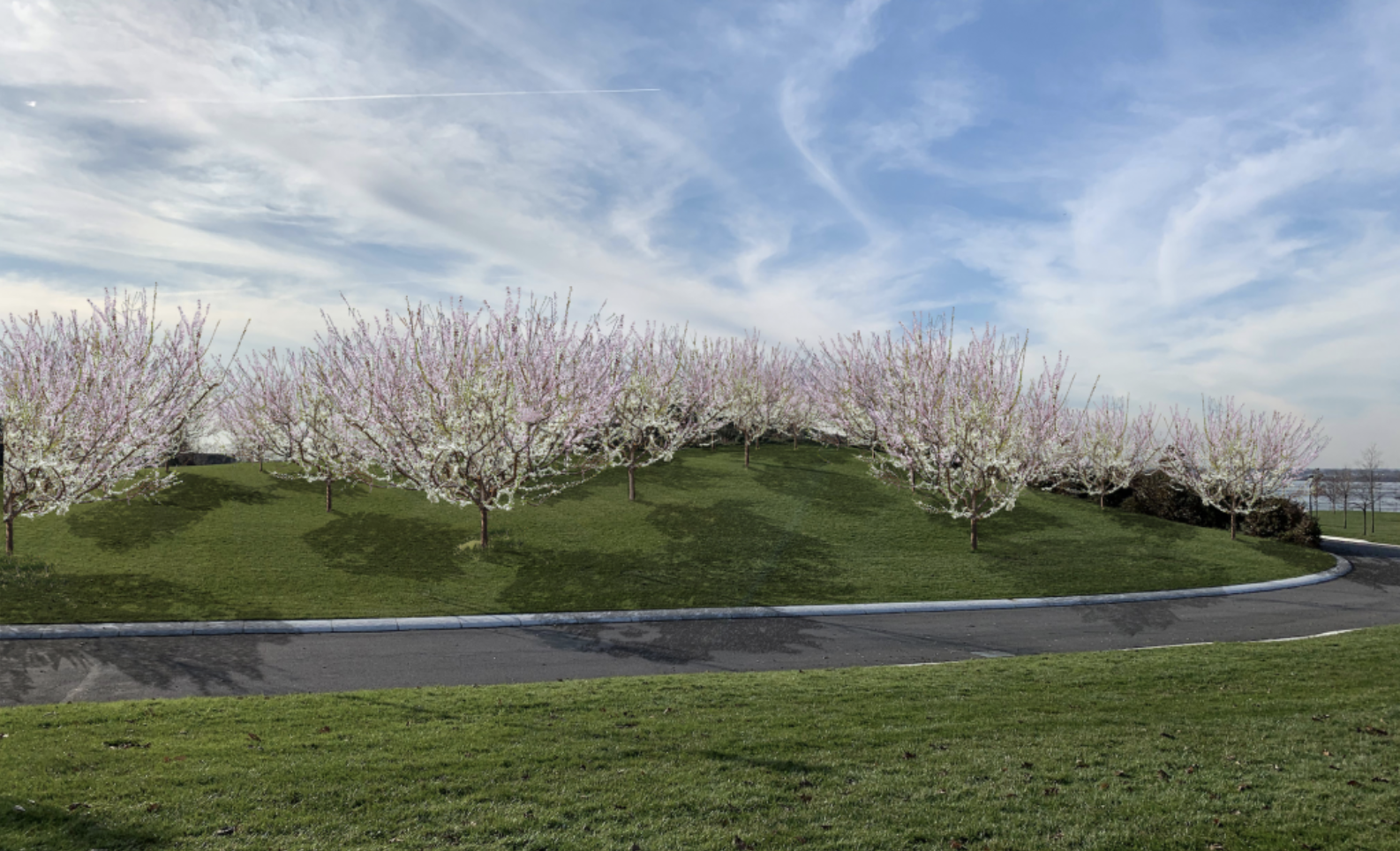 A giant fruit orchard is opening on Governors Island this month