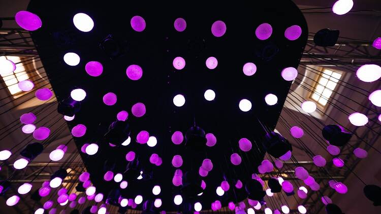 An art installation of purple suspended circles