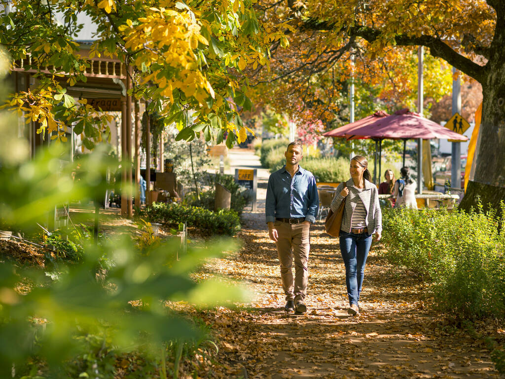 9 of the best places to see autumn leaves in Victoria