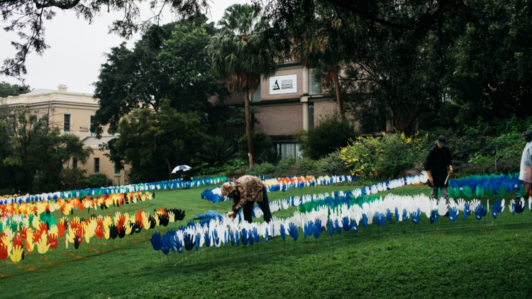 Sea of Hands at Royal Botanic Garden Sydney