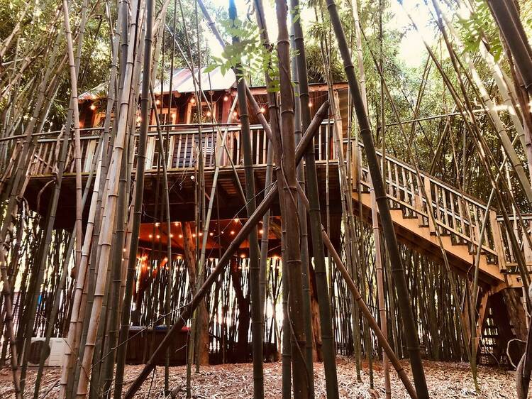 Alpaca Treehouse in the Bamboo Forest