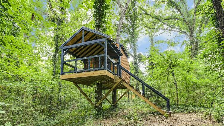 Oasis Treehouse Atlanta