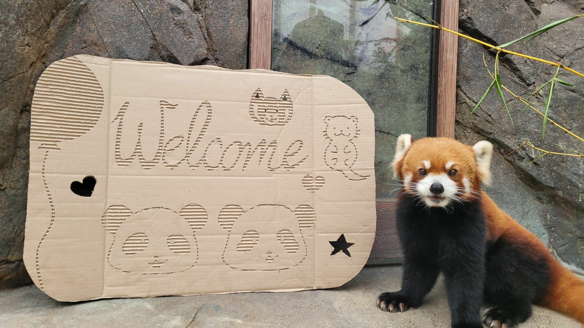 Ocean Park Hong Kong reopens on 21 April