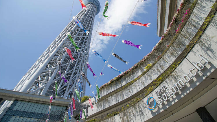 Tokyo Skytree Town Koinobori Festival