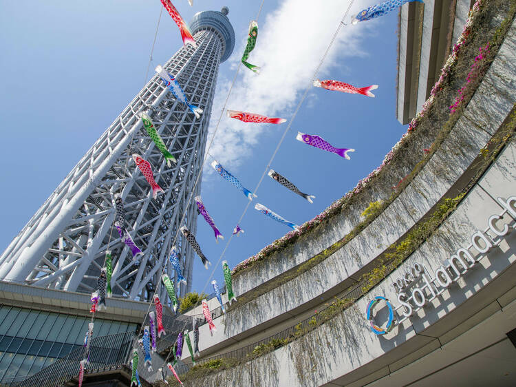 Tokyo Skytree Town Koinobori Festival