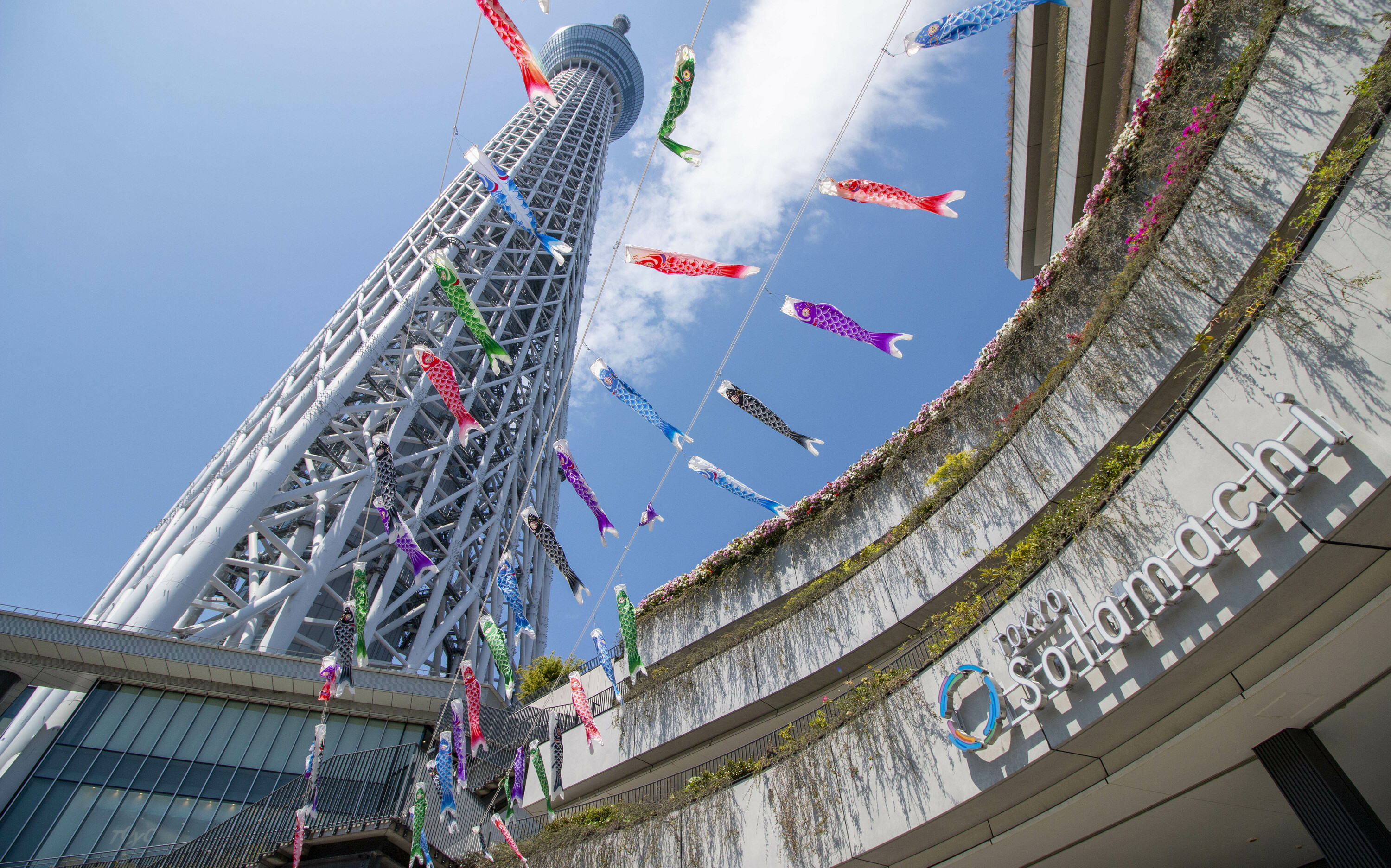 こいのぼり r139761315.jpg